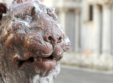 Antik mermer Venedik ada aslan heykeli