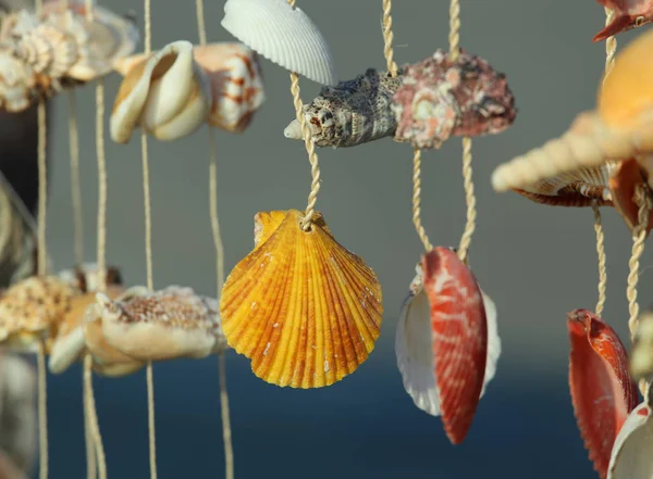 Objekt mit vielen Muscheln zum Verkauf in einem Souvenirshop — Stockfoto