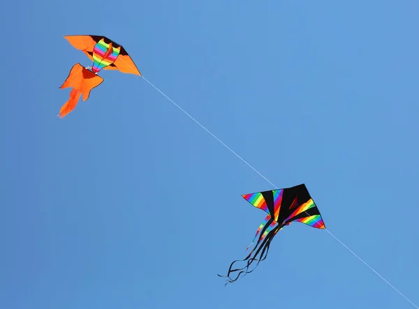 huge kites fly in the blue sky in the summer
