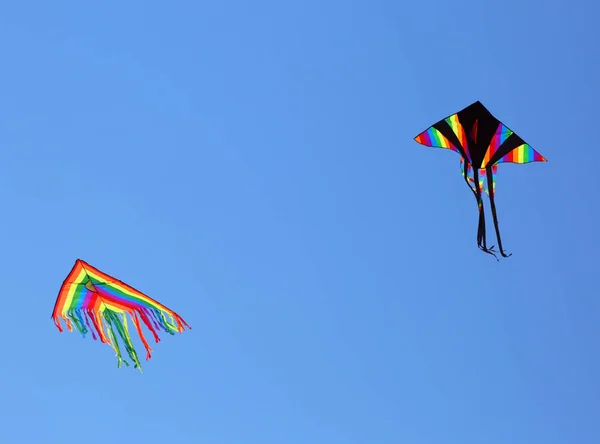 İki büyük uçurtma yaz aylarında mavi gökyüzünde uçmak — Stok fotoğraf