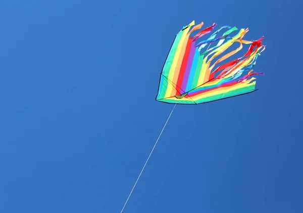 Een grote gekleurde kite — Stockfoto