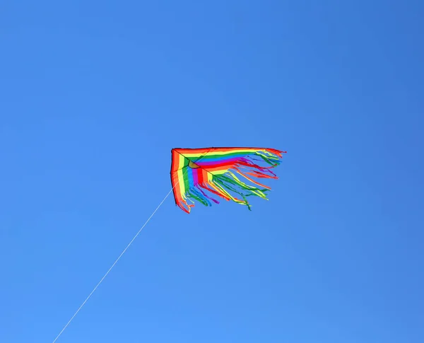 Papagaio voando alto no céu azul — Fotografia de Stock