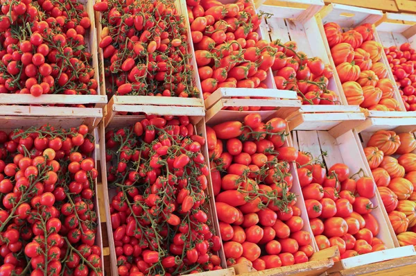 Muchas cajas con tomates —  Fotos de Stock