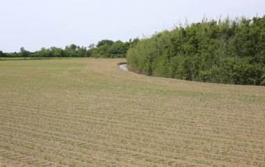 İtalya'da düz Padana ekili alan