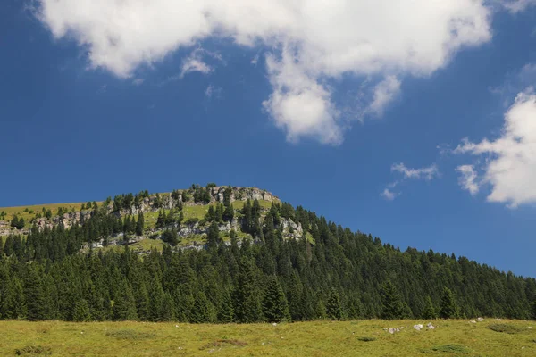 Montañas con prados verdes en verano —  Fotos de Stock