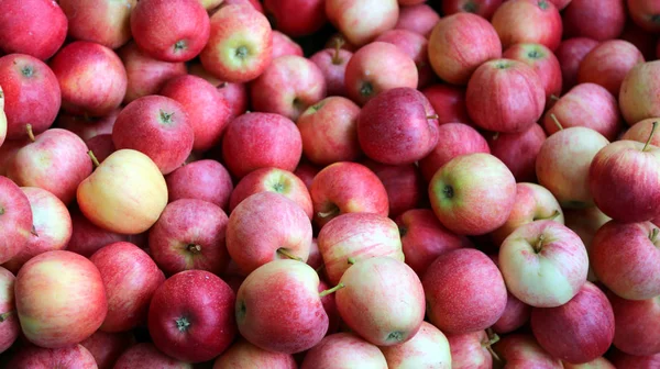 Red apples ready to be eaten — Stock Photo, Image