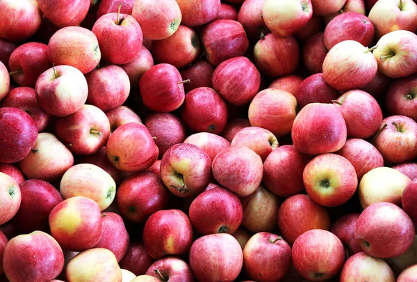 Mnoho červená jablka na prodej — Stock fotografie