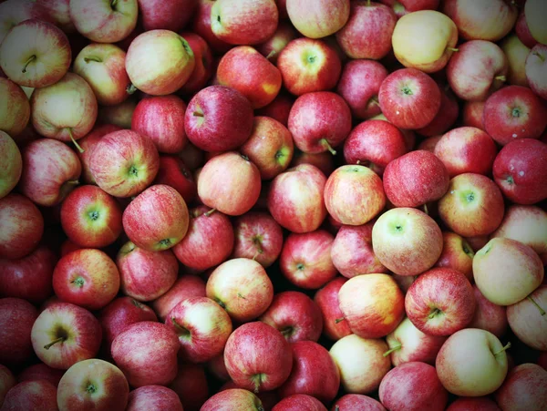 Red apples with vintage effect — Stock Photo, Image