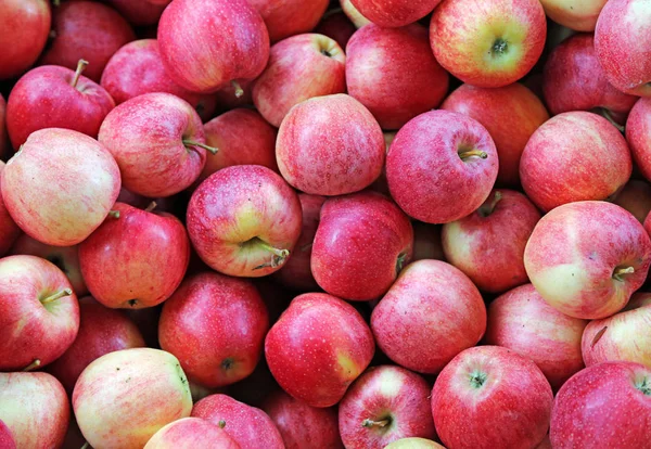 Rode appels klaar om te worden gegeten — Stockfoto