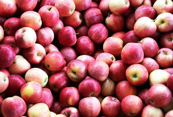 Muitas maçãs vermelhas para venda — Fotografia de Stock