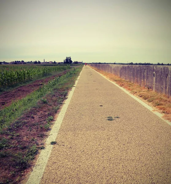 Pista ciclabile molto lunga in pianura in estate — Foto Stock