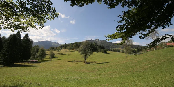 Bergslandskap med gröna ängar och berg i sommar — Stockfoto