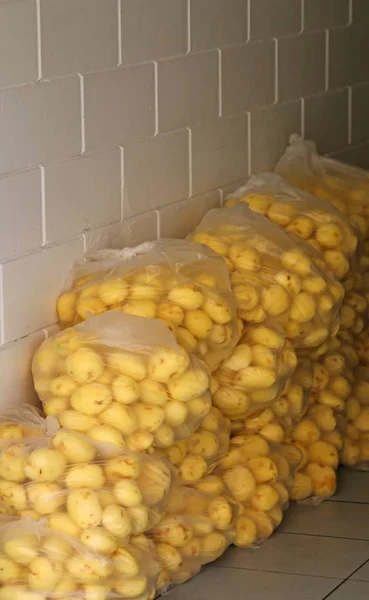 Bags of raw potatoes already peeled in the shop specializing in — Stock Photo, Image