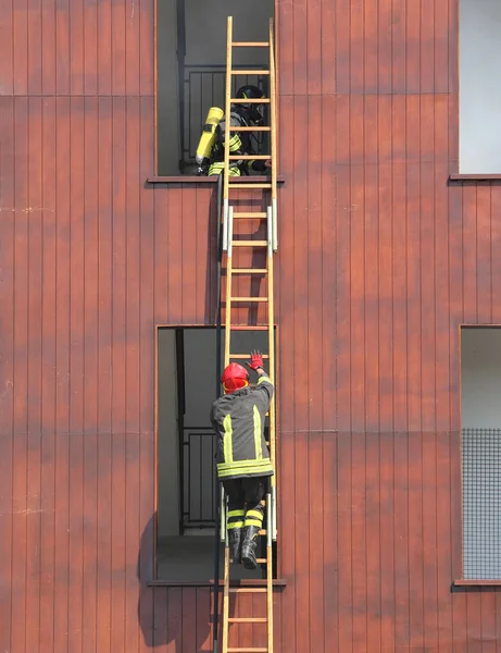 Firefighters during a ladder exercise and the fire brigade build — Stock Photo, Image