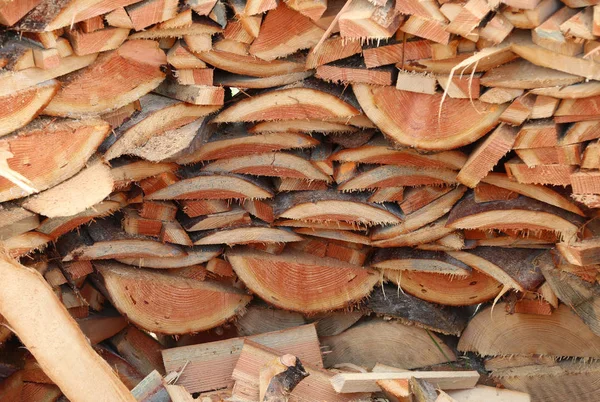 Pedaços de madeira em um woodcock — Fotografia de Stock
