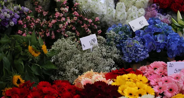 Mooie bos verse bloemen op verkoop in de markt van de bloemist — Stockfoto