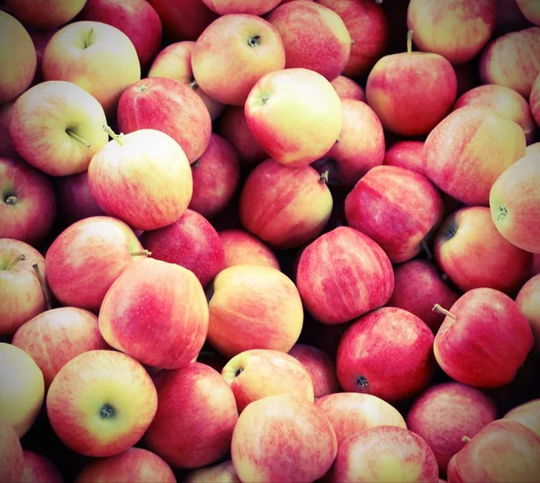 Achtergrond van smakelijke rode appels vers geoogst — Stockfoto