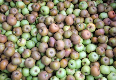 Satılık meyve üretici tarafından organik yeşil elma