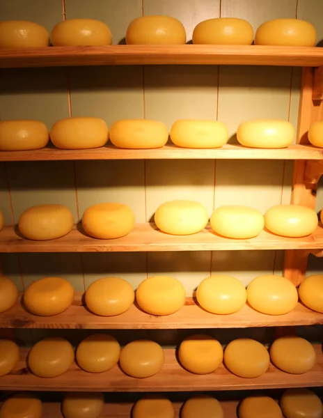 Viele typische holländische Käsesorten zum Verkauf im Laden — Stockfoto
