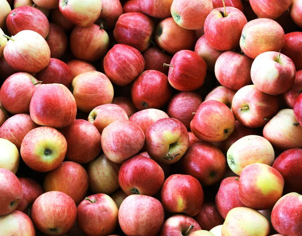 Červená jablka a vyzvedl připraveny k jídlu — Stock fotografie