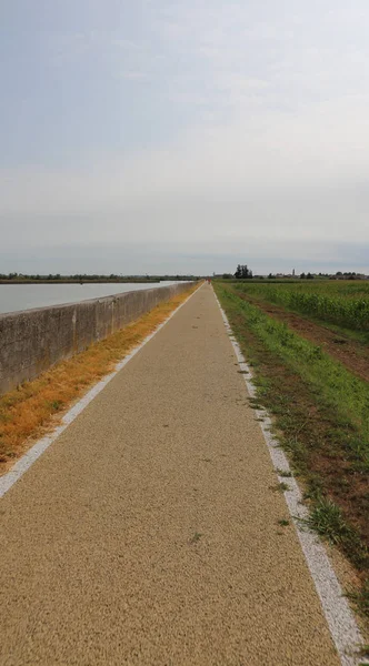 Radweg in der Ebene im Sommer — Stockfoto