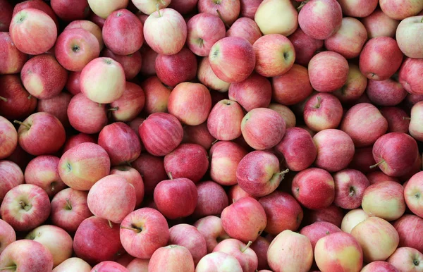 Achtergrond van rode appels — Stockfoto