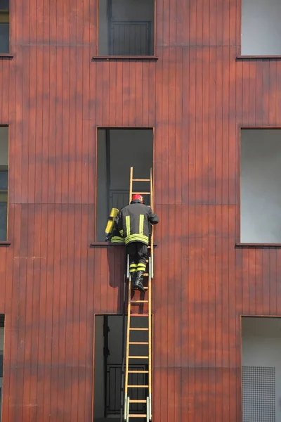 Pompiers lors d'un exercice d'échelle et la construction des pompiers — Photo