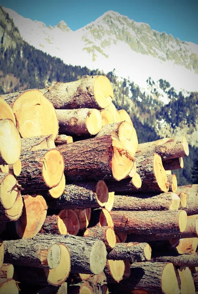 Stack of logs trimmed in the mountains in winter — Stock Photo, Image
