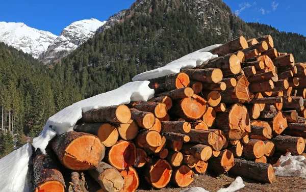 Holzhaufen, die im Winter von Holzfällern in den Bergen geschlagen werden — Stockfoto