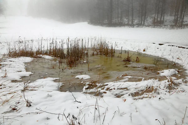 Lagoa de montanha congelada no inverno com neve branca — Fotografia de Stock