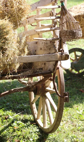 Oude wagen met het hooi van een boer — Stockfoto