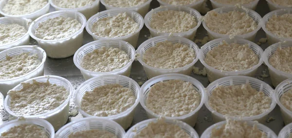 dağ süt taze peynir formları