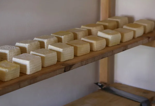 Półka z świeży ser podczas procesu dojrzewania w alpin — Zdjęcie stockowe