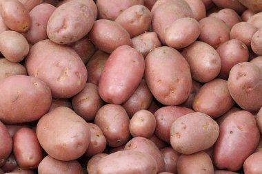 pek çok kırmızı patates çok değerli bir kalite