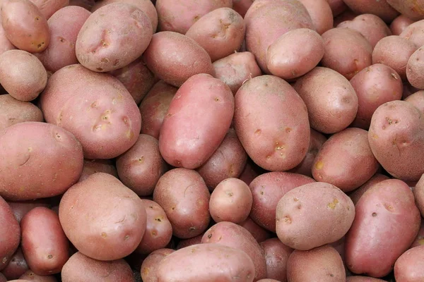 Viele rote Kartoffeln eine sehr wertvolle Qualität — Stockfoto