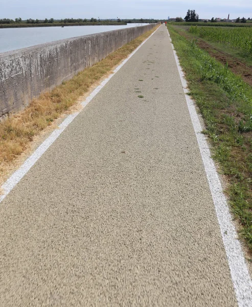 Longue piste cyclable dans la plaine en été — Photo