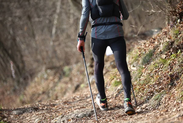 iz eğitim sırasında Polonyalılar Nordic walking ile çocuk