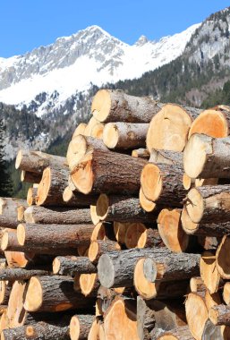 dağlarda kar ile kış günlüklerinde yığını