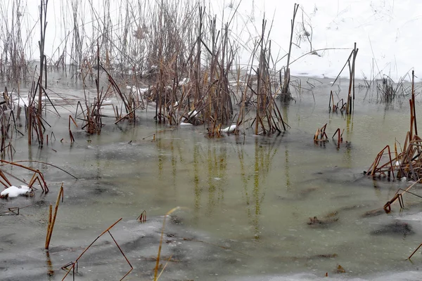 alanın ortasında Kışın buzlu dağ gölet