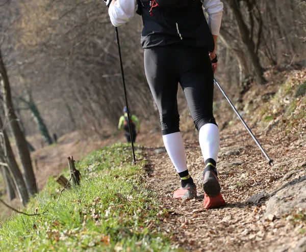 woman with nordic walking sticks during workout on mountain path