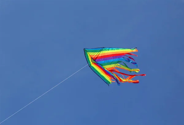Yüksekten uçuyor gökyüzünde güzel renkli uçurtma — Stok fotoğraf