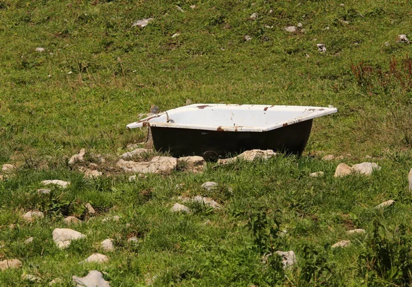 Kąpiel w dziedzinie wody inwentarza żywego bydła — Zdjęcie stockowe