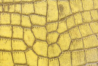 Satılık hakiki deri arka plan