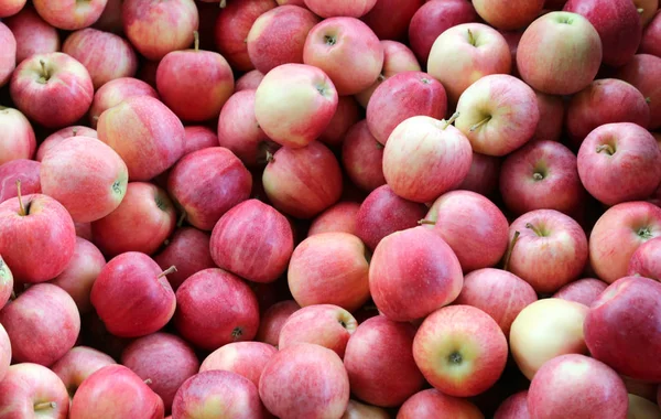 Fundo de muitas maçãs vermelhas — Fotografia de Stock
