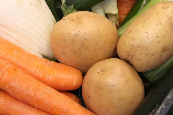 Ekologiska grönsaker potatis och orange morötter och fänkål — Stockfoto