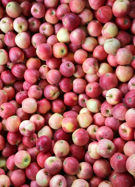 Rode appels klaar om te worden gegeten — Stockfoto
