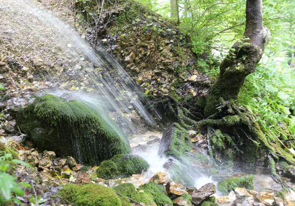 Kleine bron van zuivere zoet water in de bergen — Stockfoto