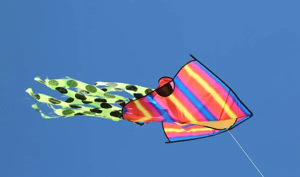 Kite vliegende symbool voor freedm in blauwe hemel — Stockfoto