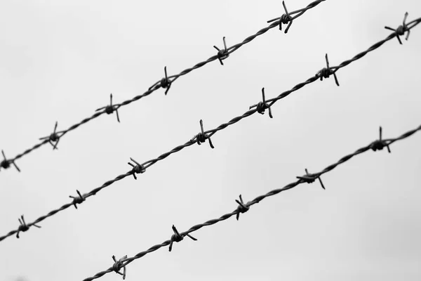 Trois lignes de fil barbelé le long de la frontière avec un effet dramatique — Photo