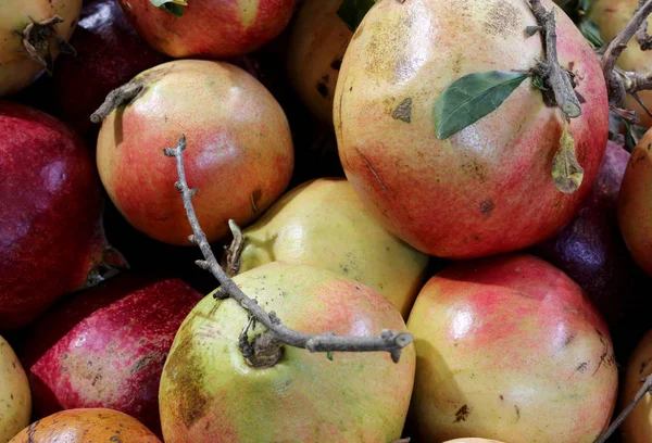 Hintergrund roter Bio-Granatäpfel — Stockfoto